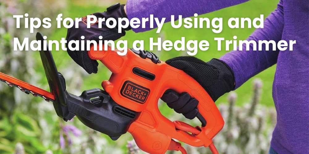 Tips for Properly Using and Maintaining a Hedge Trimmer