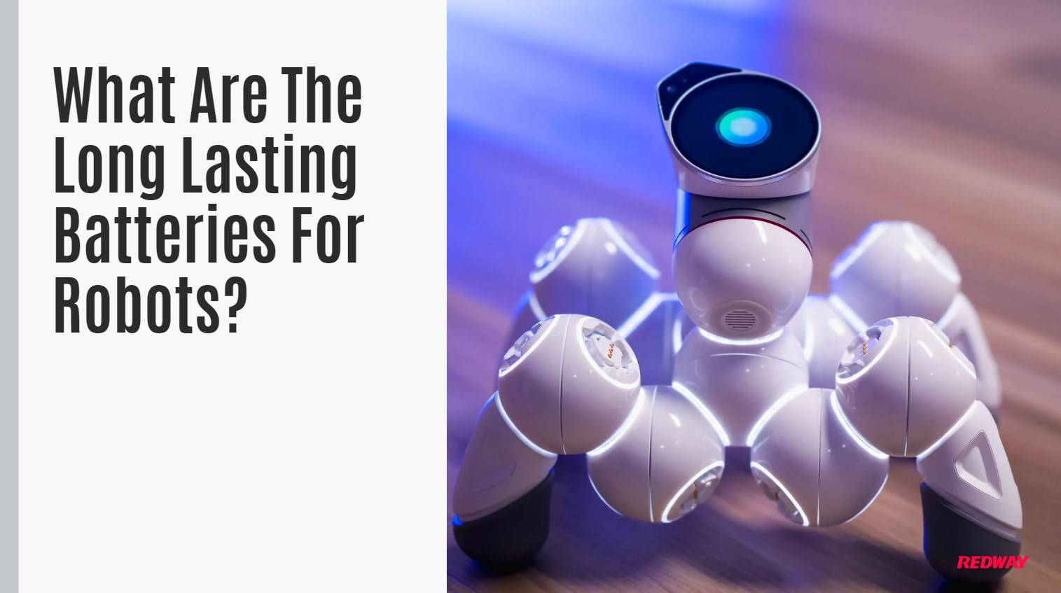 What Are The Long Lasting Batteries For Robots?