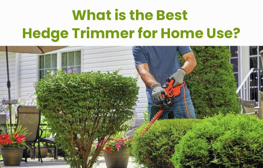 What is the best hedge trimmer for home use? - Redway Power™
