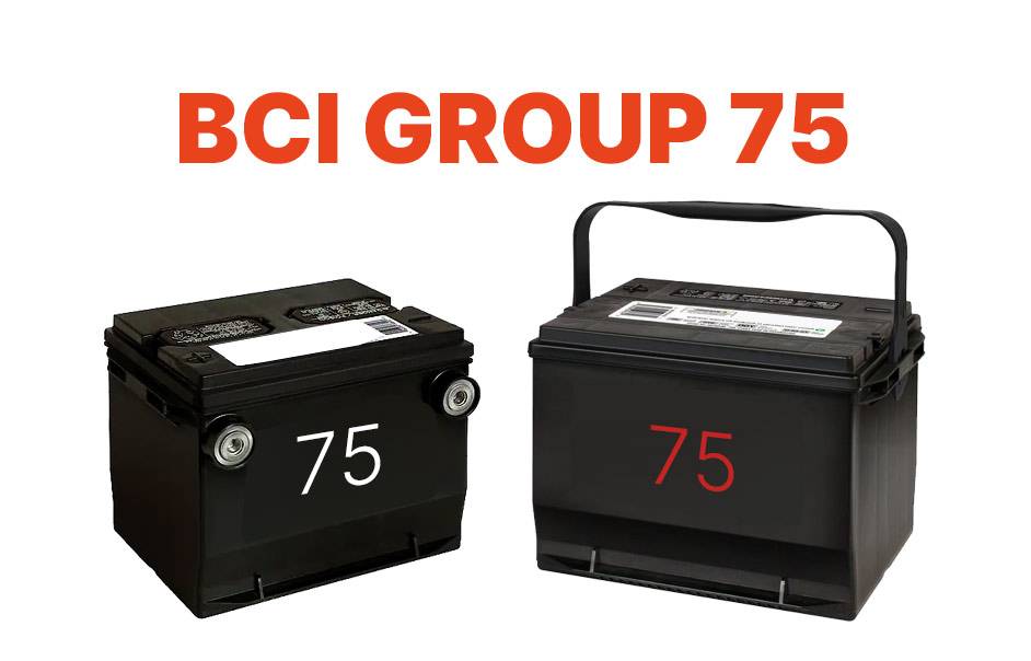 BCI Group 75 Batteries