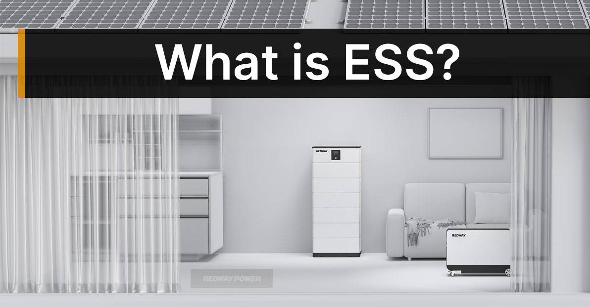 What is the ESS?