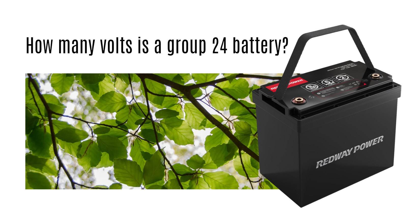 How many volts is a group 24 battery? 12v 100ah rv lithium battery factory oem manufacturer marine boat