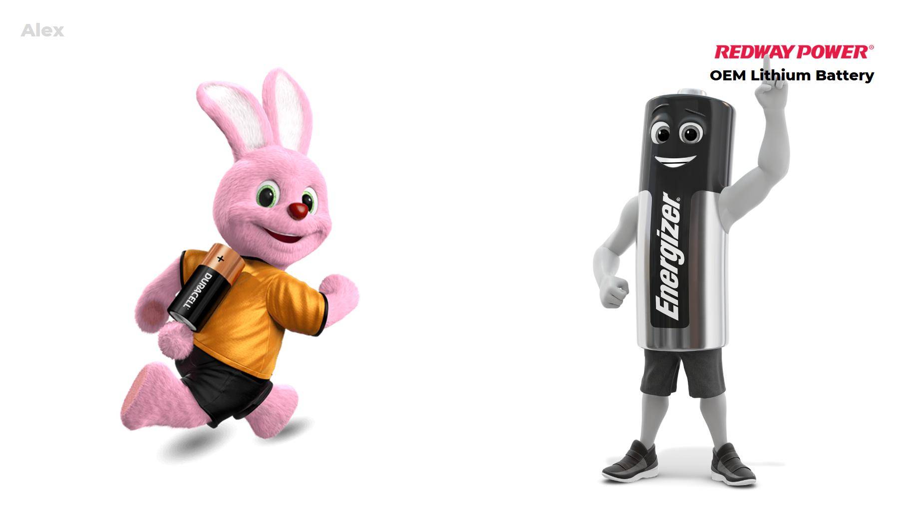 Energizer v duracell sales