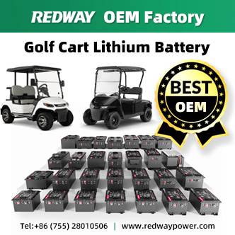china golf cart lithium battery oem factory manufacturer