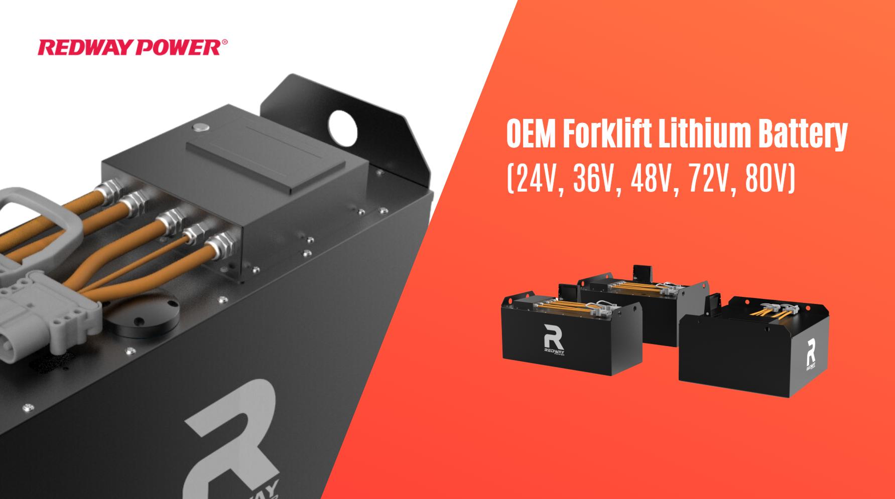 How to Reset LiFePO4 Battery Management Systems?